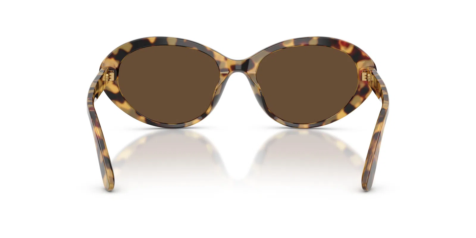 Dolce & Gabbana 4570 Sunglasses - view 14